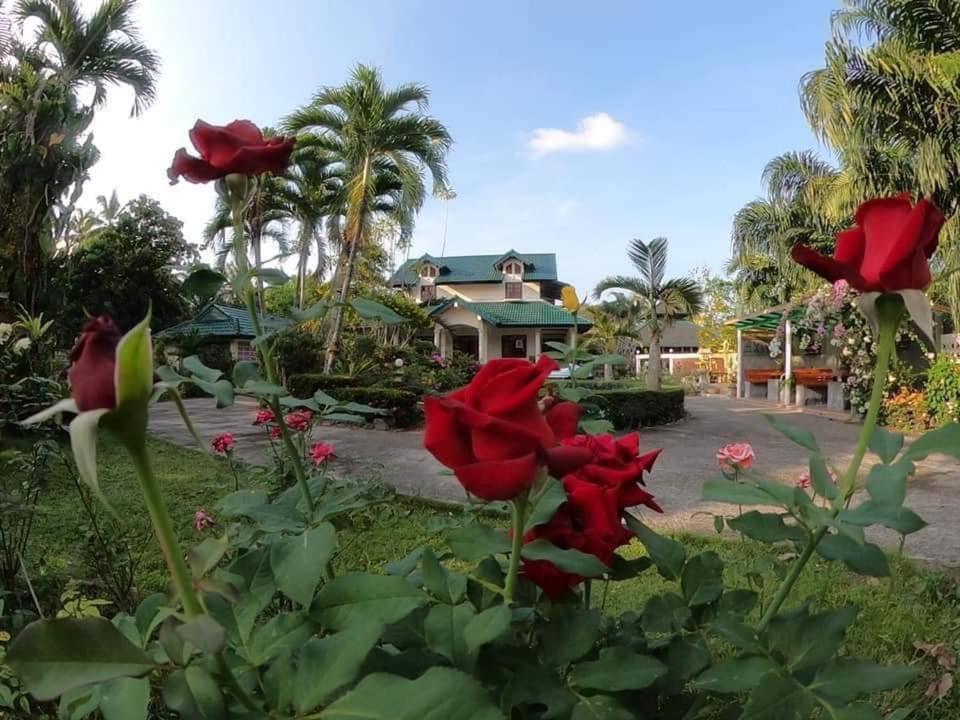 Ekman Garden Resort Sichon Exteriör bild